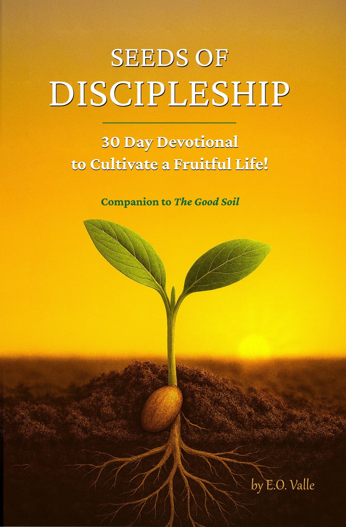 Seeds of Discipleship: 30 Day Devotional to Cultivate a Fruitful Life!
